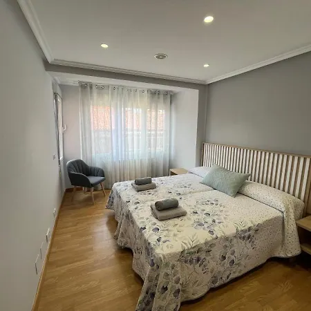 Confort Centro - Leonapartamentos Apartment *