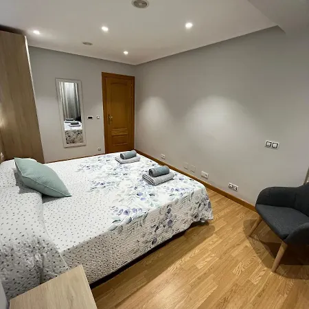 Confort Centro - Leonapartamentos Apartment