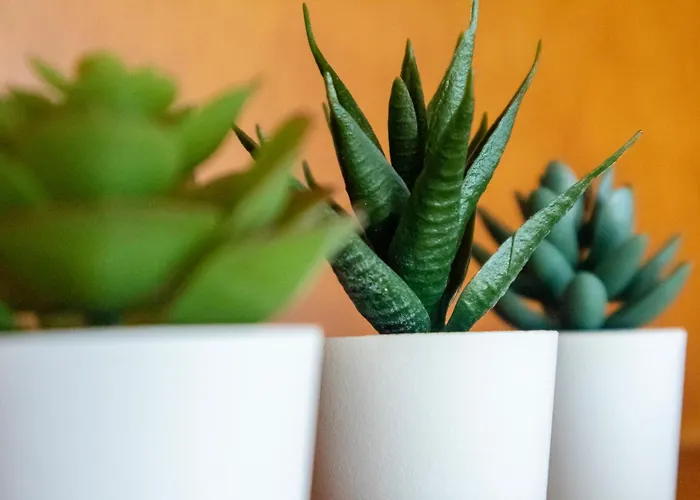 Apartment Confort Centro - Leonapartamentos